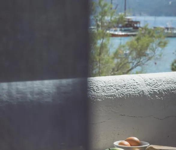 בית הארחה Malion